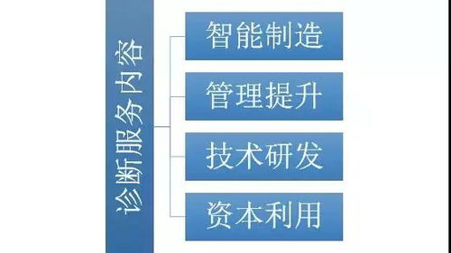 我市啟動倍增企業全方位全流程診斷服務，助力網絡技術研發及技術服務企業高質量發展